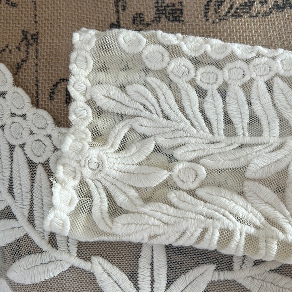 Anthro Meadow Rue cream Lace Grace long sleeve sheer shirt scoop neck scallops - Picture 9 of 16